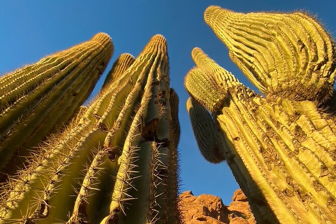 Epic Camelback Mountain Guided Hiking Adventure in Phoenix, Arizona - Traveler Photos and Reviews