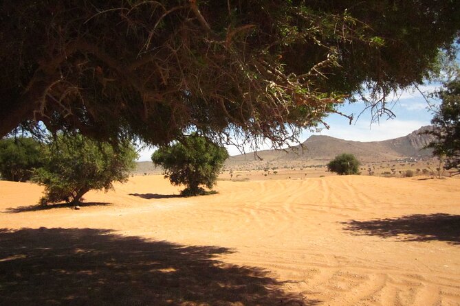 Epic in the Little Sahara: Explore the Dunes of Agadir in 4x4! - Safety Guidelines