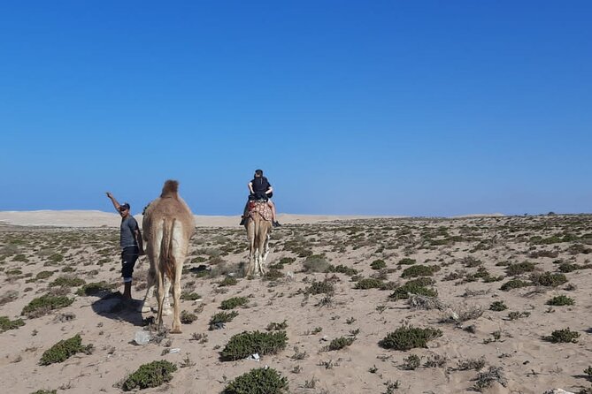 Epic in the Little Sahara: Explore the Dunes of Agadir in 4x4! - Photo Opportunities