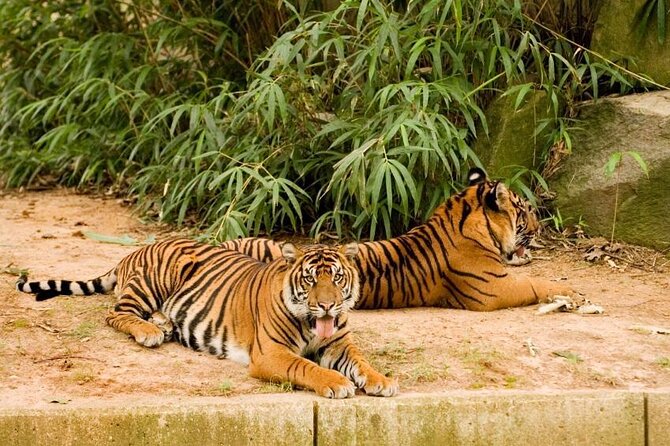 Epic Let's Roam's Scavenger Hunt Washington: Scavenger Hunt at the National Zoo! - Meeting Point Details