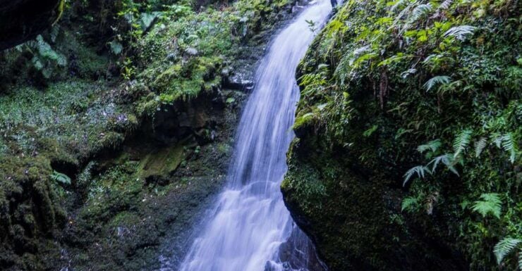 EPIC Madeira Canyoning Level Two - Activity Details and Booking Information