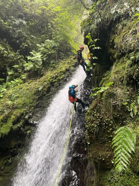 EPIC Madeira Canyoning Level Two - Experience Highlights