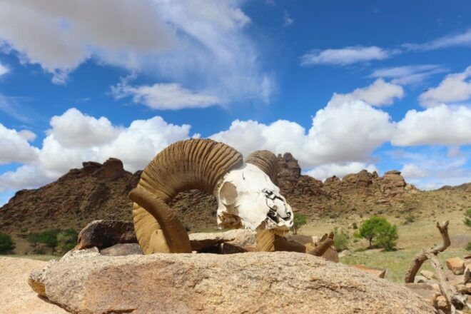 Epic Mongolian Gobi Nature Tour: 4 Nights 5 Days - Booking Information