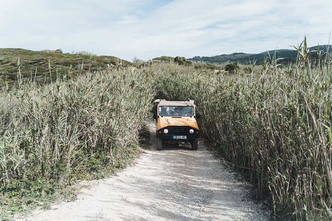 Epic Off-Road Adrenaline in Sintra - Touring Sintra-Cascais Natural Park in a Vintage UMM