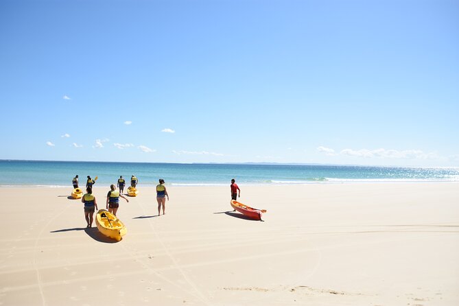 Epic Rainbow Beach Dolphin Kayak and 4WD Adventure Tour - Cancellation Policy