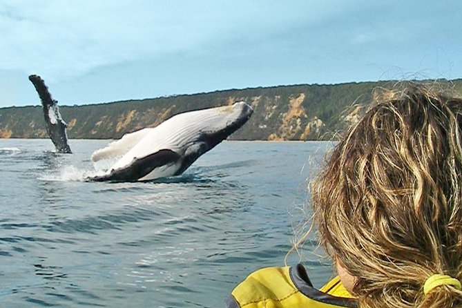 Epic Rainbow Beach Dolphin Kayak and 4WD Adventure Tour - Traveler Photos