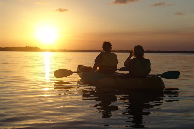 Epic Rainbow Beach Dolphin Kayak and 4WD Adventure Tour - Common Questions