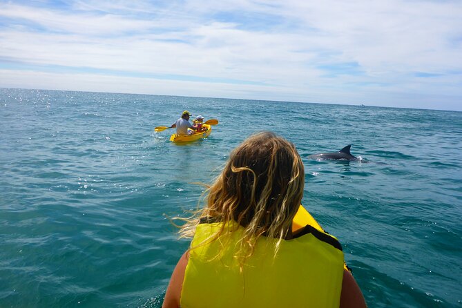 Epic Rainbow Beach Dolphin Kayak and 4WD Adventure Tour - The Sum Up