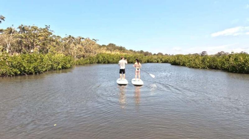 Epic Stand Up Paddle -Stingray & Mangrove Tour (Full Guided) - Why You Should Consider It