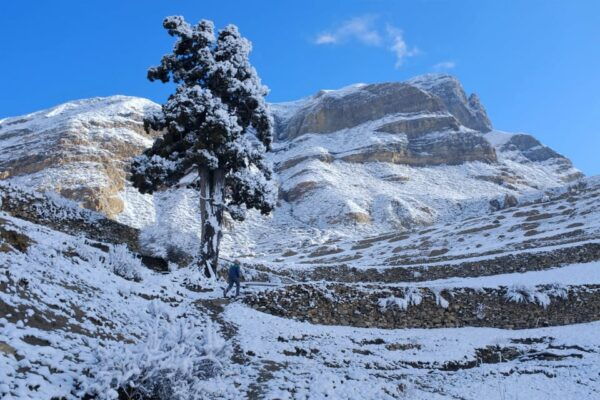 Epic Trekking: 14 Days to Tilicho Lake and Mesokanto Pass - Break Down