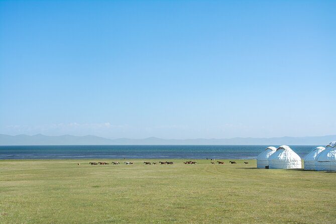 Epic Trip from Bishkek to Osh via Issyk-Kul and Song-Kol Lakes - Good To Know  