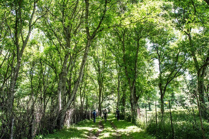 Epic Trip from Osh to Song Kol and Issyk Kul - Exploring the Itinerary in Detail