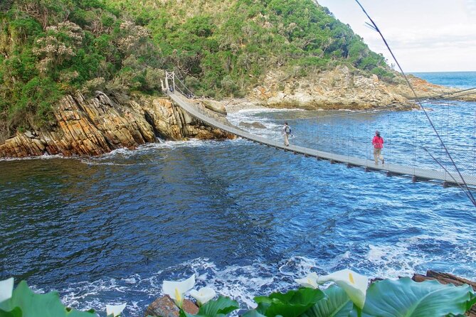Epic Tsitsikamma Tour: Zipline & Storms River Mouth - Overview of Tsitsikamma Tour