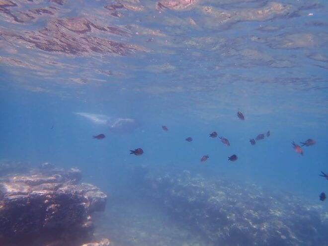 Epidaurus Ancient Theatre & Snorkeling in Sunken City Prive - Snorkeling Experience