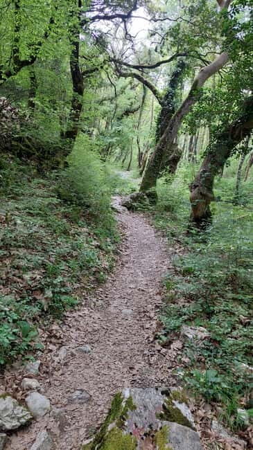 Epirus: Zagori Rafting Tour with viewpoints,lunch and photos - Good To Know