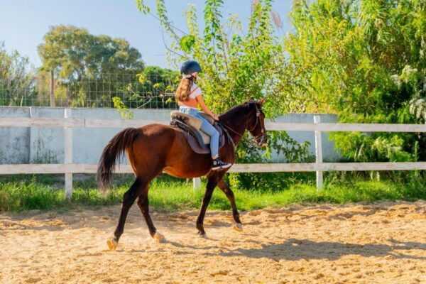 Equestrian Baptism - Frequently Asked Questions