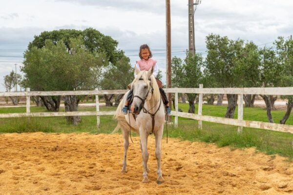 Equestrian Baptism - The Sum Up