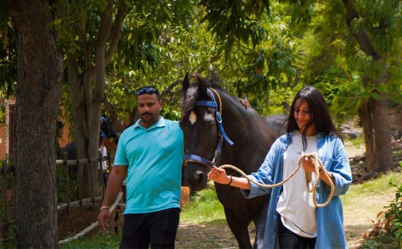 Equestrian Escape: Horse Safari Adventure - The Value Proposition