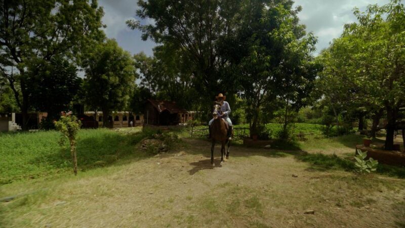 Equestrian Escape: Horse Safari Adventure - FAQ