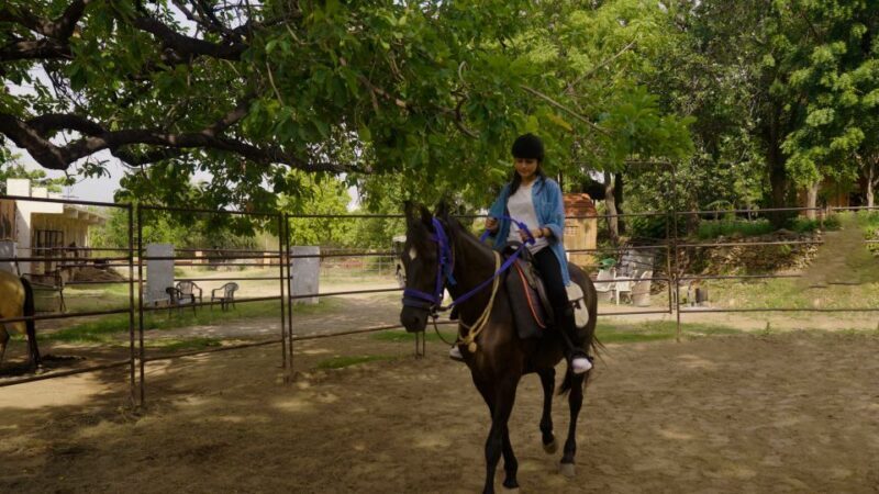 Equestrian Escape: Horse Safari Adventure - FAQ