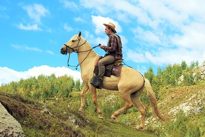Equestrian Experience - Peruvian Paso Horse - Reviews