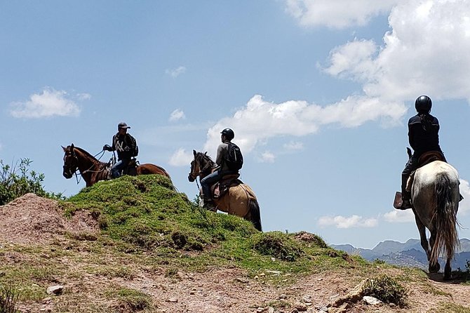Equestrian Experience - Peruvian Paso Horse - Directions