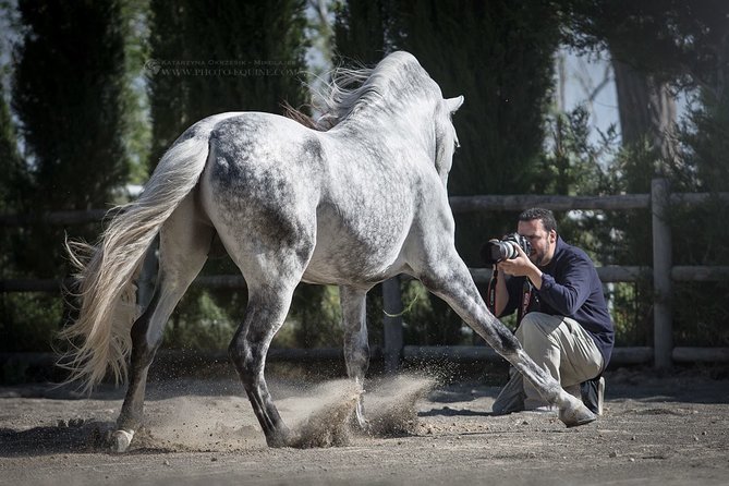 Equestrian Photography Class - Benefits of Equestrian Photography
