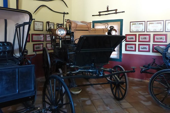 Equestrian Show and Winery in Jerez From Seville - Discovering Jerezs Wineries and Vineyards