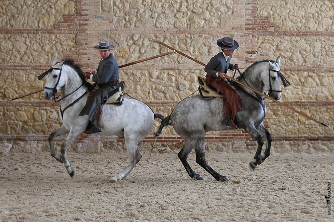 Equestrian Show Royal Stables of Córdoba - The Sum Up