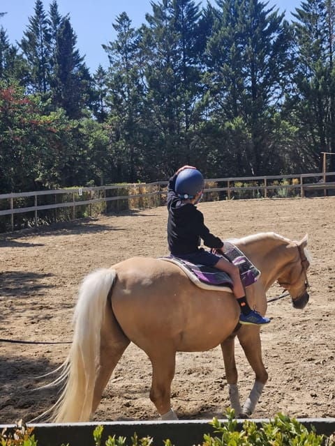 Equestrian Tourism - Experience - Who Will Love This?