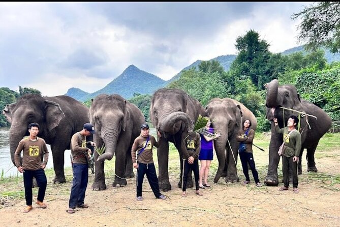 Erawan Waterfall and Elephant Care From Bangkok -Private Tour - Transportation Details