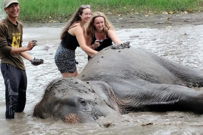 Erawan Waterfall and Elephant Care From Bangkok -Private Tour - Additional Information
