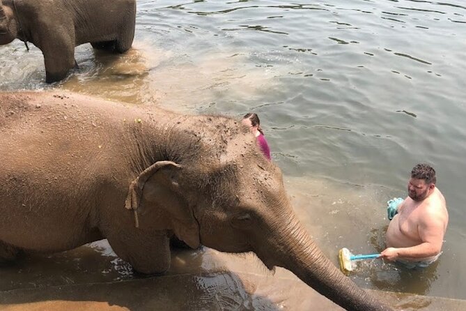 Erawan Waterfall and Elephant Care From Bangkok -Private Tour - Frequently Asked Questions