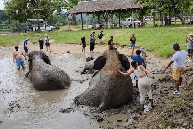 Erawan Waterfall and Elephant Care From Bangkok -Private Tour - The Sum Up