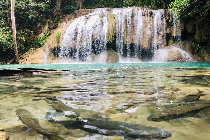 Erawan Waterfall and River Kwai Bridge Day Tour From Bangkok - Itinerary and Activities