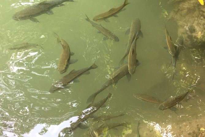 Erawan Waterfall and River Kwai Bridge Day Tour From Bangkok - Pricing and Booking Information