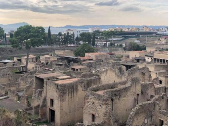Ercolano: Archaeological Park of Herculaneum Walking Tour - Good To Know