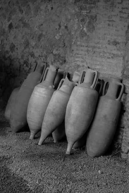 ERCOLANO: ENTRANCE TICKET - SKIP THE LINE WITH OPTIONAL TRANSFER - Detailed Breakdown of the Tour Experience  