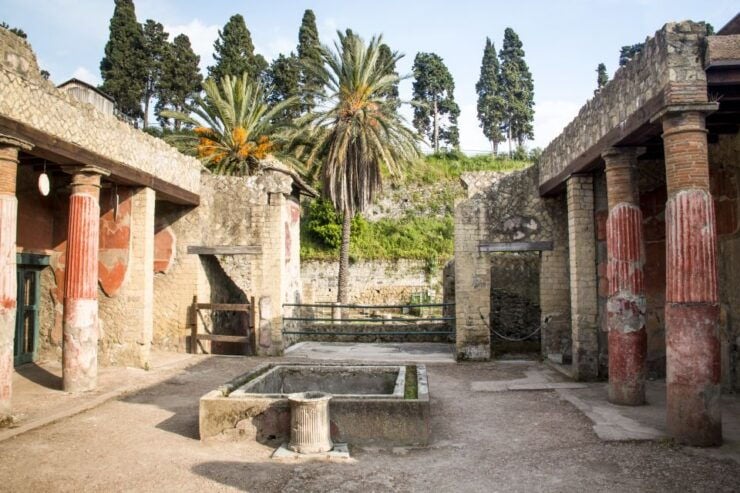 Ercolano: Herculaneum Entry Ticket W/ Optional Audio Guide - Ticket Details and Options