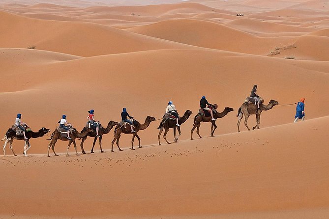 Erg Chebbi Overnight Small-Group Camel Adventure From Fez - Overview and Itinerary