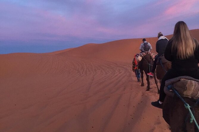 Erg Chebbi Overnight Small-Group Camel Adventure From Fez - Accommodation and Service Issues