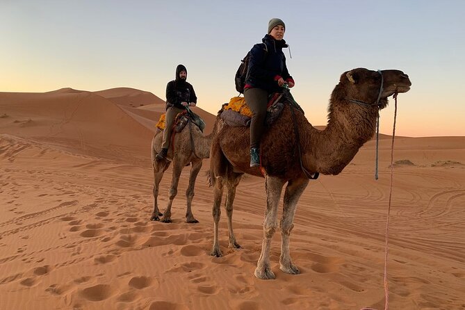 Erg Chebbi Overnight Small-Group Camel Adventure From Fez - The Sum Up