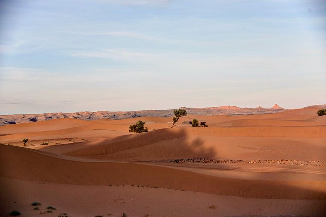 Erg Cheggaga Mindful Desert Tour 3 Days 2 Nights - Customer Reviews