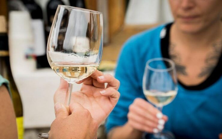 Ericeira: Portuguese Wine Tasting - 4 Wines - Expert Guidance and Wine Pairing
