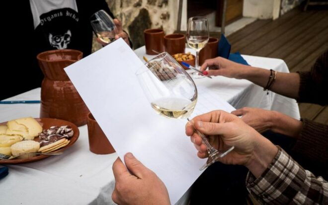 Ericeira: Portuguese Wine Tasting - 4 Wines - Scenic Location and Ambiance
