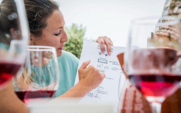 Ericeira: Private Portuguese Wine Tasting - 4 Wines & Snacks - Expert Guidance and Tasting Experience