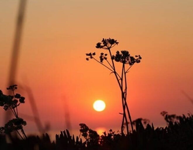 Ericeira: Private Sunset Bike Tour - Safety Considerations