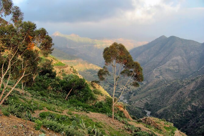 Eritrean Highlights Safari 8 Days / 7 Nights - How to Check Availability