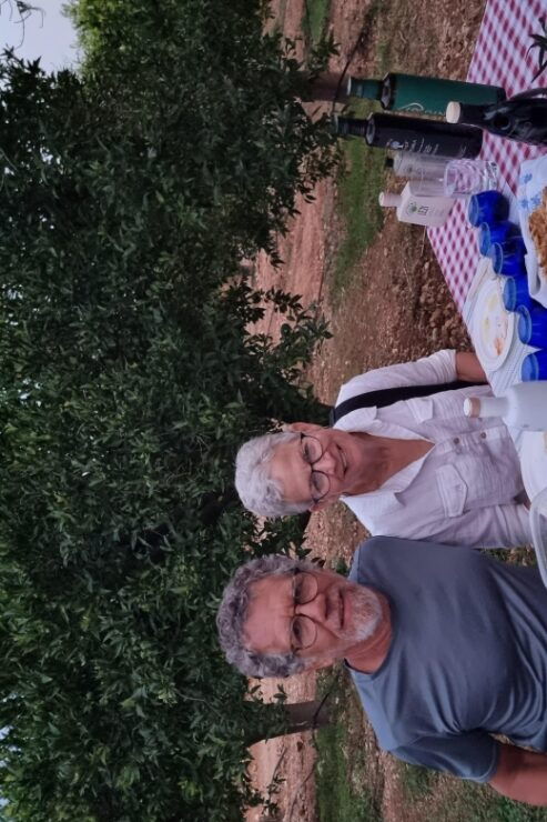 Ermioni: Olive Oil Tasting & Millennial Olive Tree Tour - Booking Information