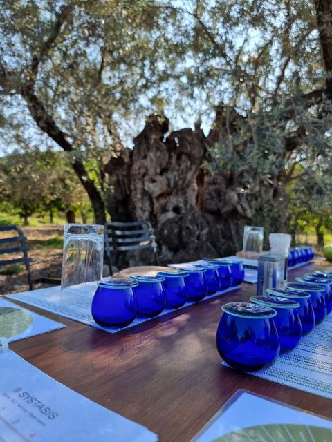 Ermioni: Olive Oil Tasting & Millennial Olive Tree Tour - Workshop Description